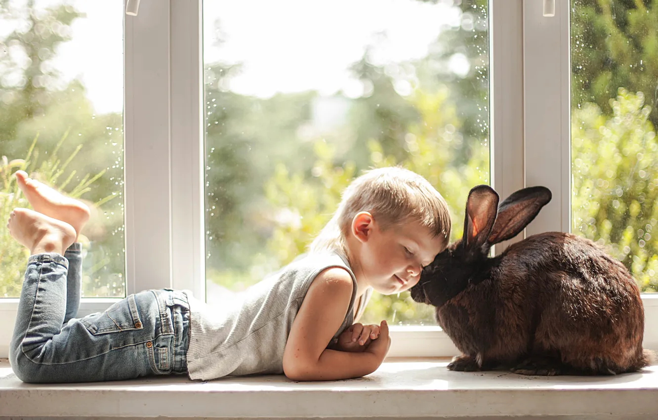 Фото обои любовь, настроение, мальчик, кролик, окно, дружба, друзья, на подоконнике