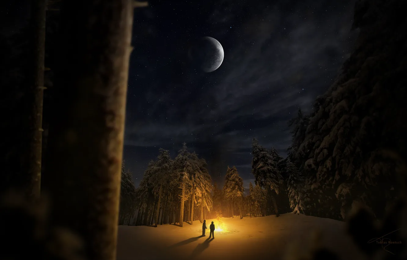 Фото обои зима, лес, снег, деревья, ночь, люди, поляна, костер