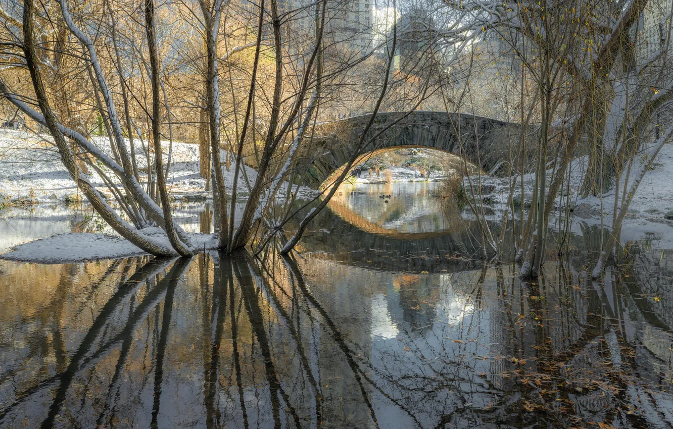 Фото обои зима, мост, природа, озеро, парк, нью-йорк