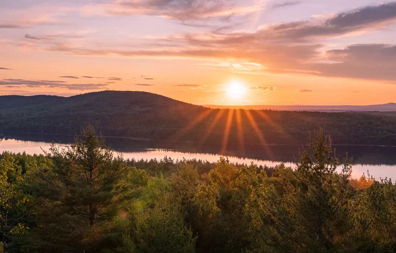 Фото обои лес, небо, солнце, облака, лучи, свет, закат, горы