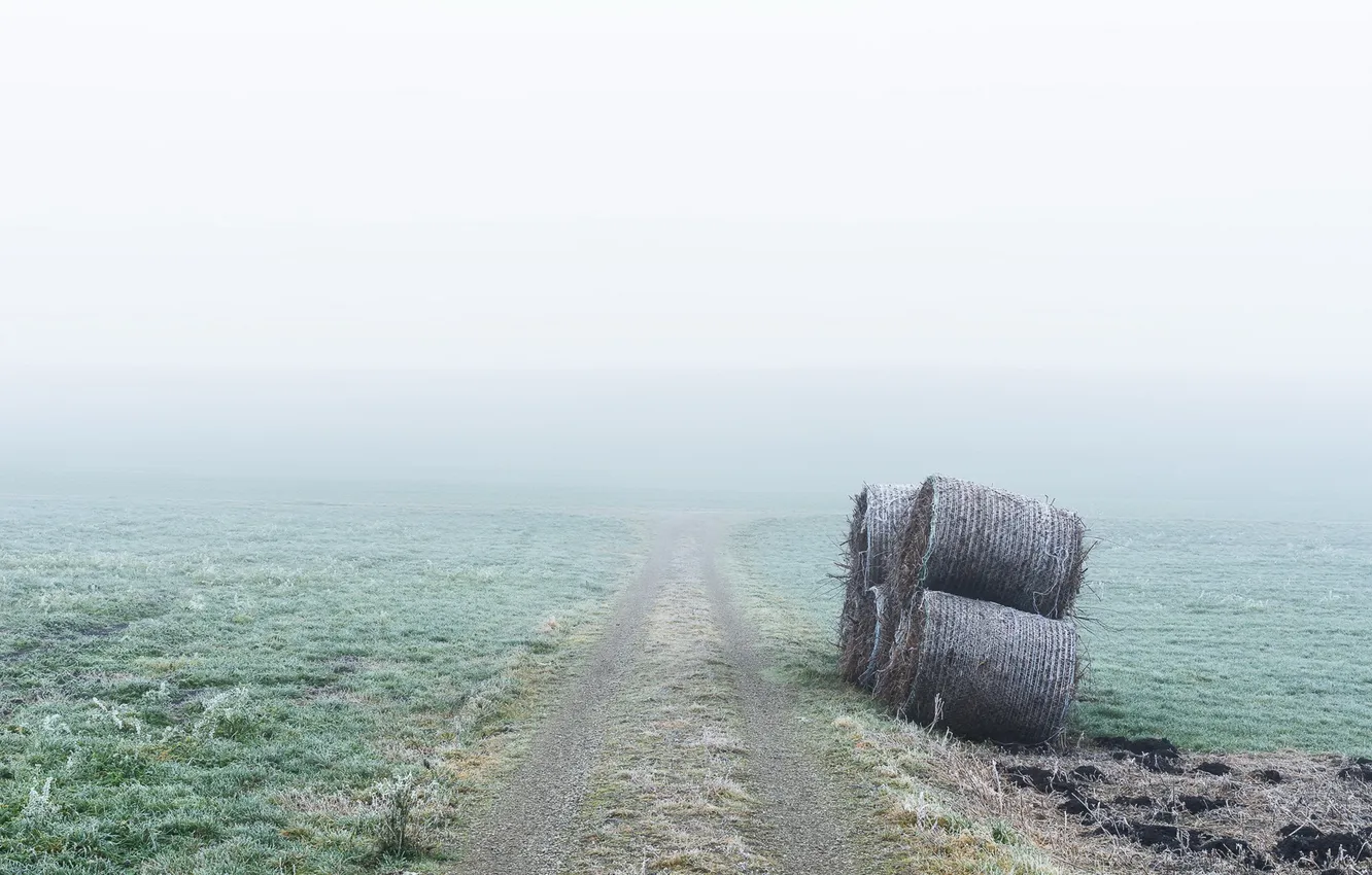 Фото обои дорога, туман, сено