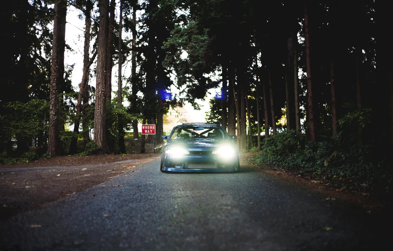 Фото обои машина, лес, деревья, Silvia, Nissan, ниссан, tuning, сильвия