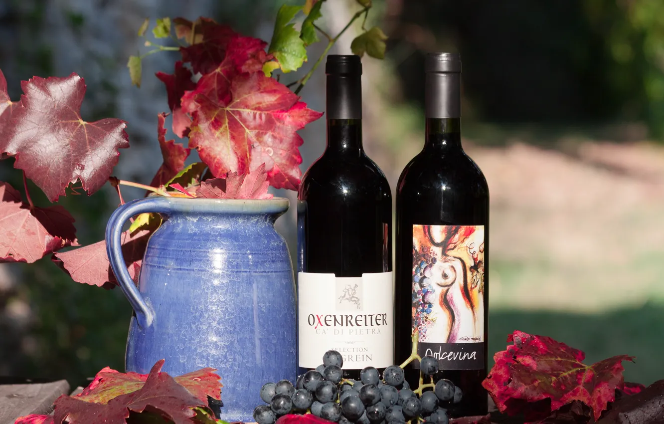 Фото обои листья, ягоды, вино, виноград, гроздь, бутылки, кувшин
