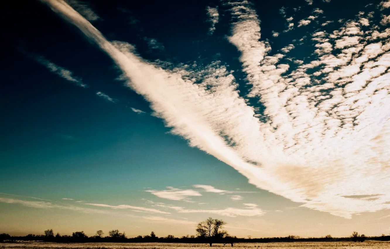 Фото обои облака, пейзаж, закат, природа, дерево, Поле