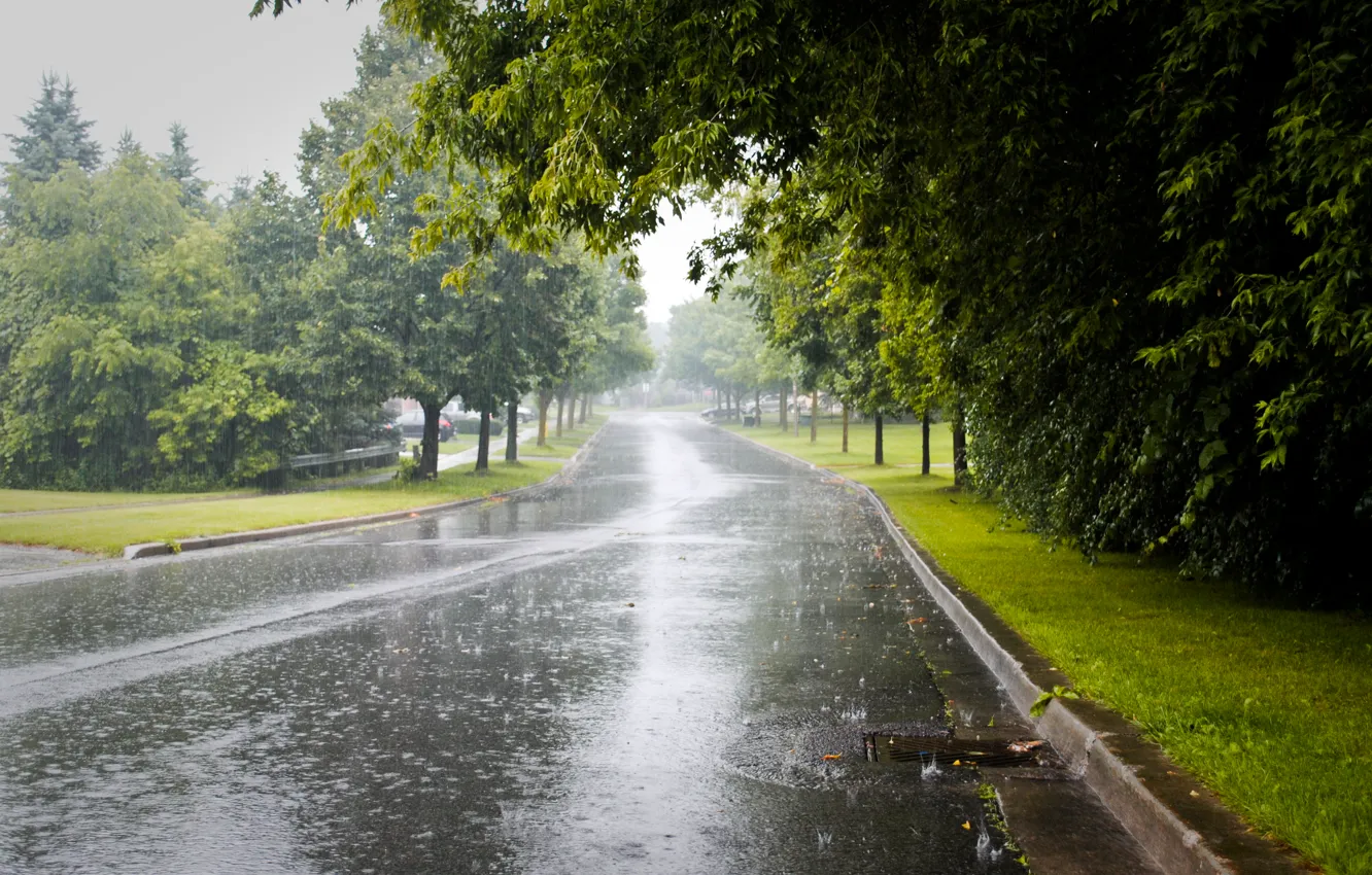 Фото обои city, road, trees, rainy day