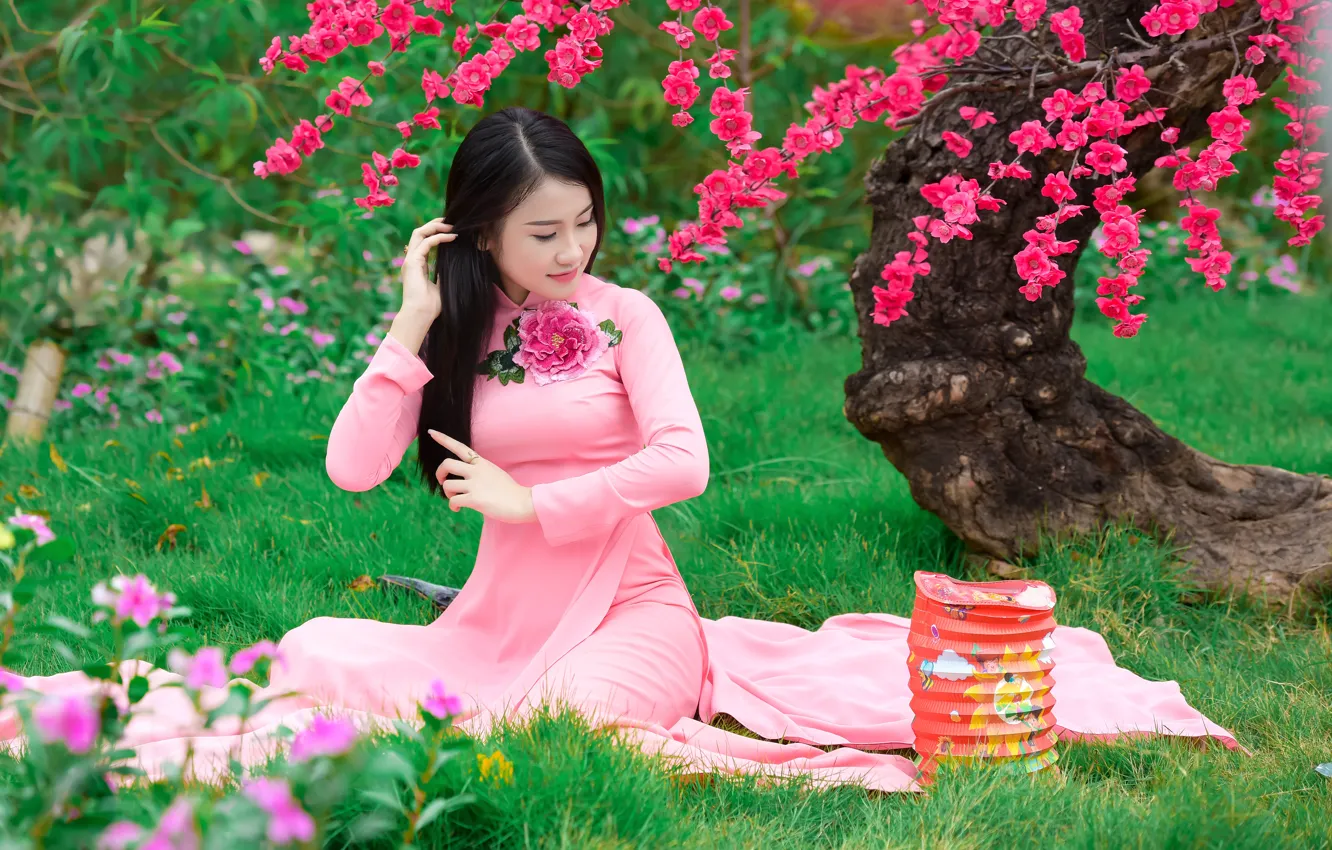 Фото обои трава, лицо, сакура, платье, азиатка, сидит, цветение