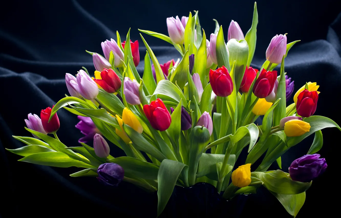 Фото обои букет, тюльпаны, разноцветные