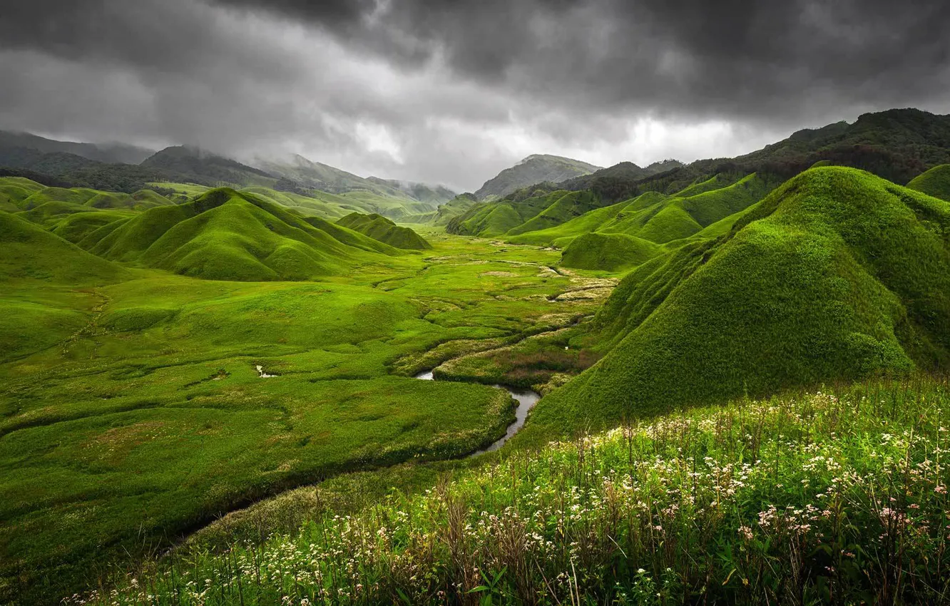 Фото обои трава, цветы, горы, тучи, природа, река, Индия, Green Dzukou