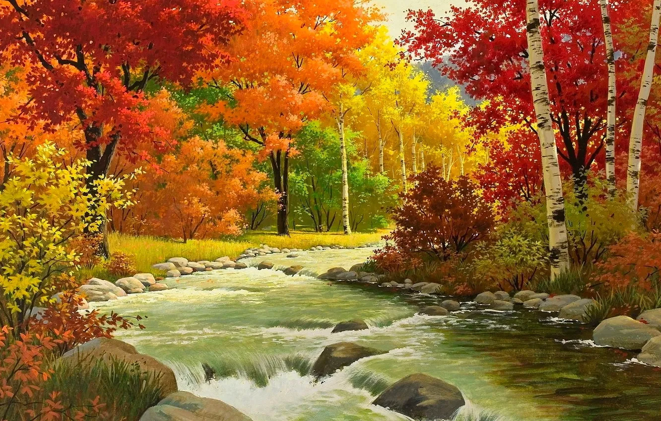 Фото обои лес, деревья, река, камни, листва, Осень