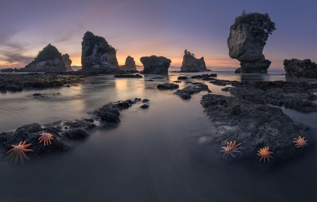 Фото обои пейзаж, природа, камни, океан, скалы, Новая Зеландия, морские звёзды, Motukiekie Beach