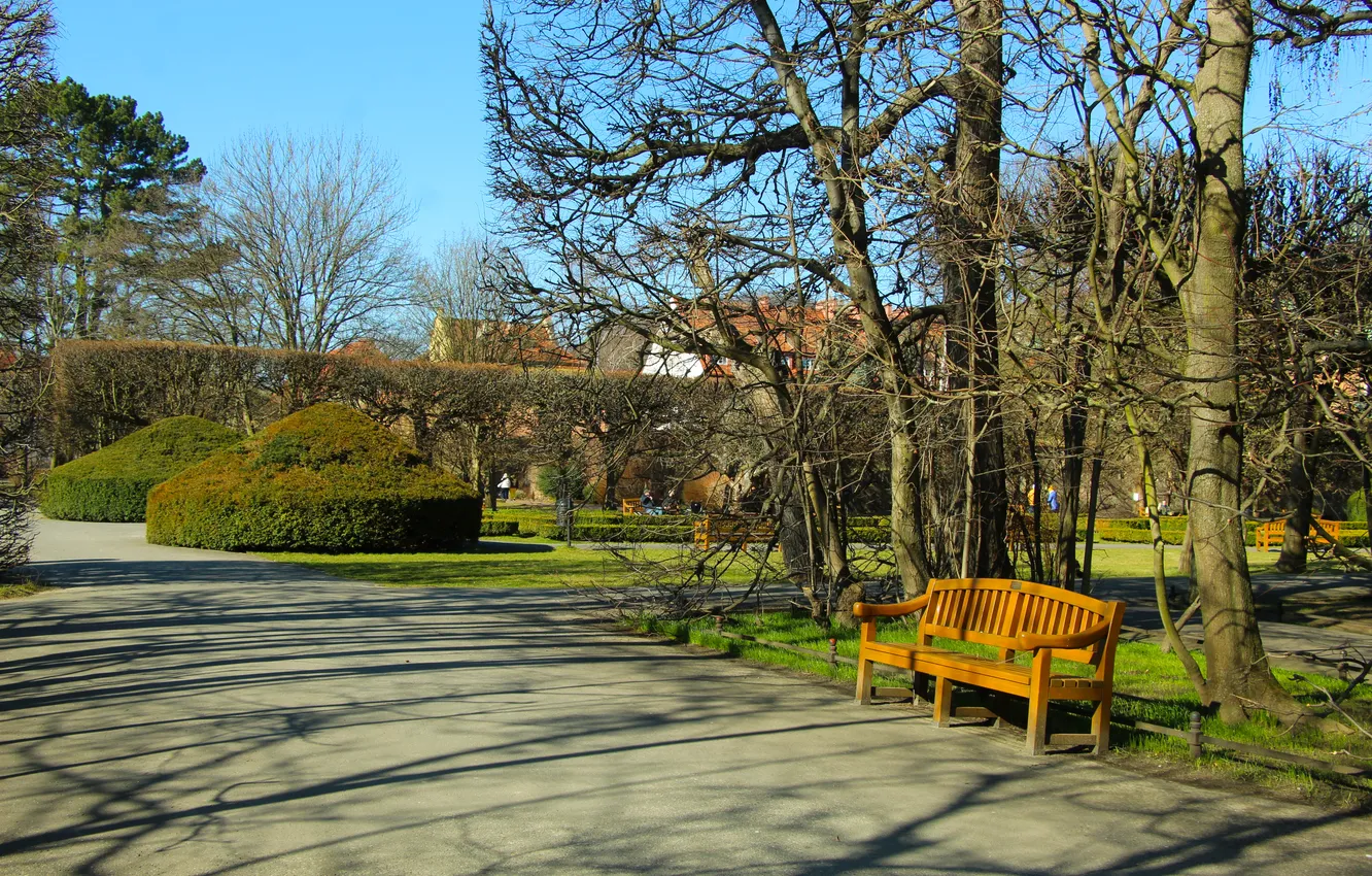 Фото обои trees, park, bench