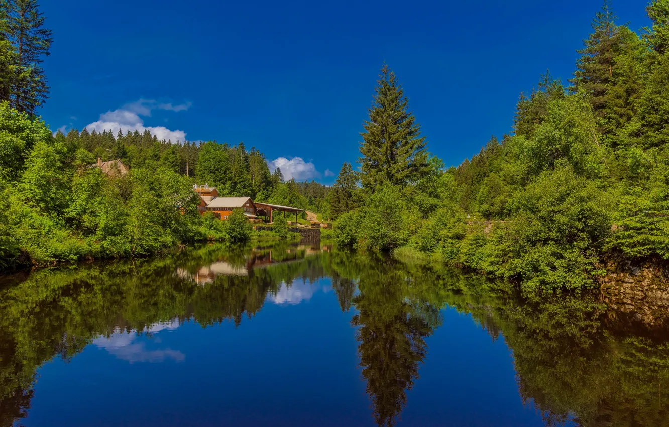 Фото обои лес, озеро, отражение, дома, Германия, Germany, Баден-Вюртемберг, Baden-Württemberg