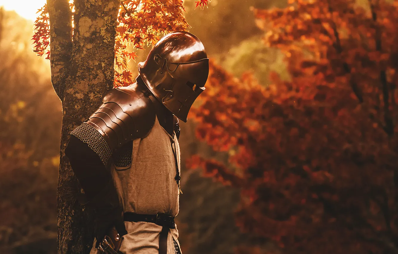 Фото обои природа, металл, дерево, доспехи, воин, шлем, рыцарь