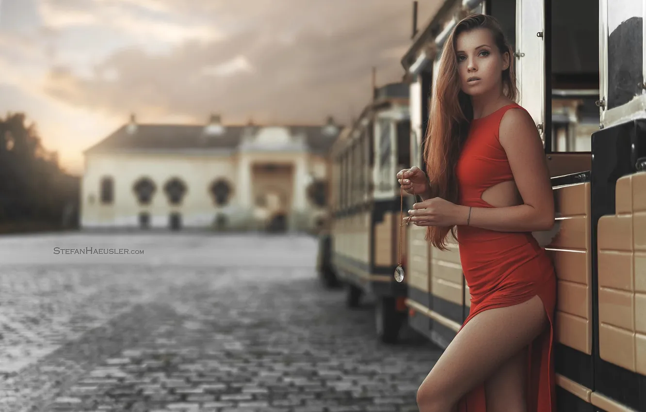 Фото обои взгляд, девушка, платье, ножки, вырез, Stefan Häusler