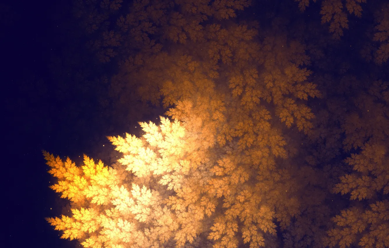 Фото обои nature, leaves, tree