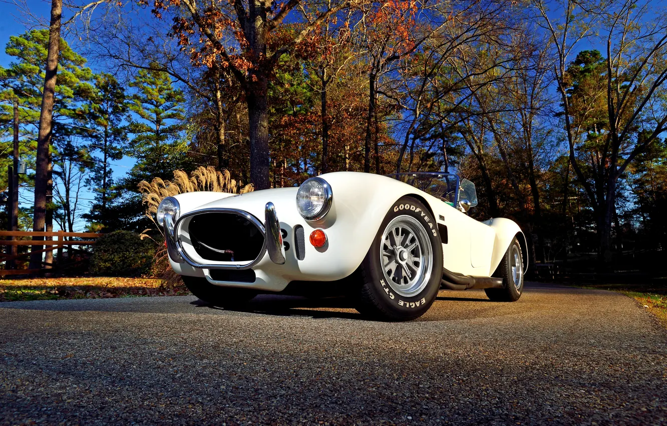 Фото обои Ford, Shelby, кобра, форд, шелби, 1967, Cobra 427