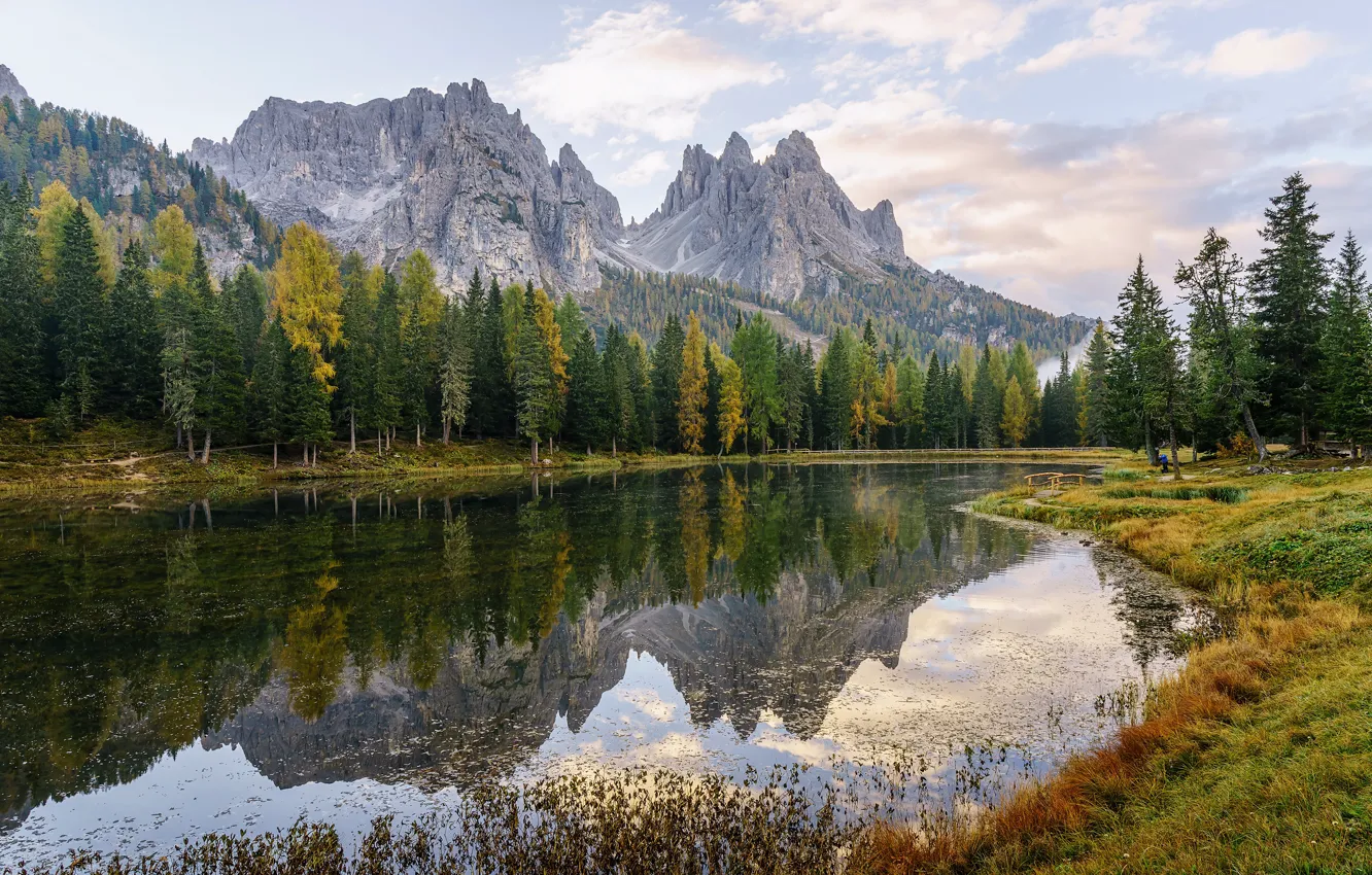 Фото обои осень, лес, трава, вода, деревья, горы, озеро, отражение