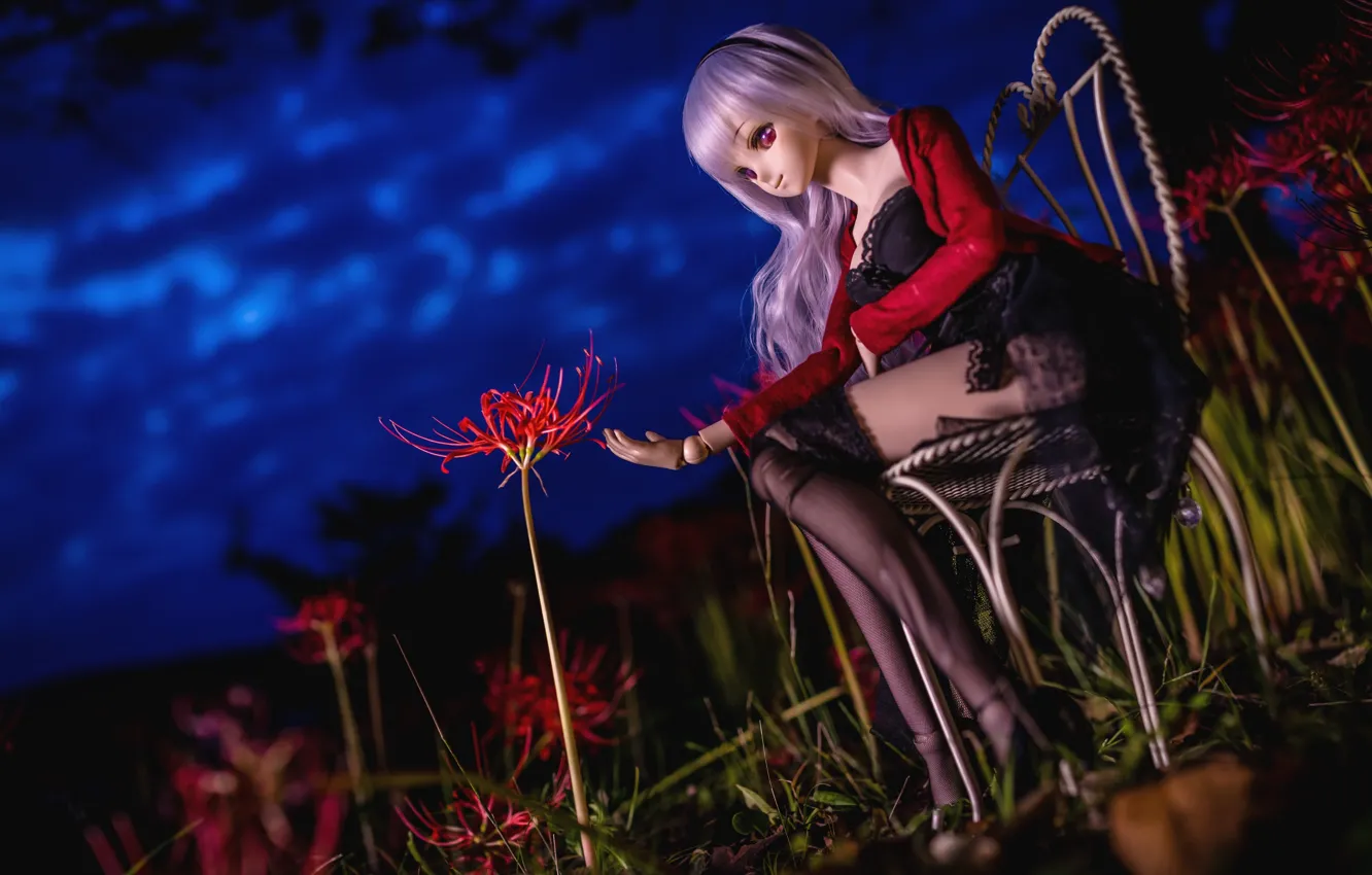 Фото обои цветок, ночь, лилия, чулки, кукла, стул