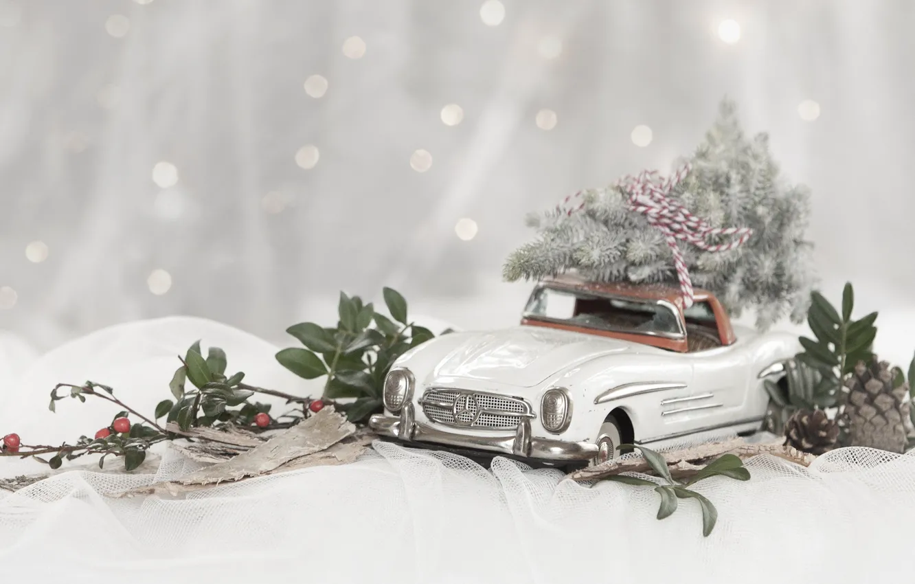 Фото обои зима, машина, листья, снег, ветки, ягоды, модель, игрушка