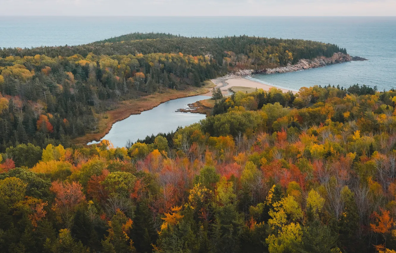 Фото обои море, осень, лес, деревья, озеро, река, вид, залив