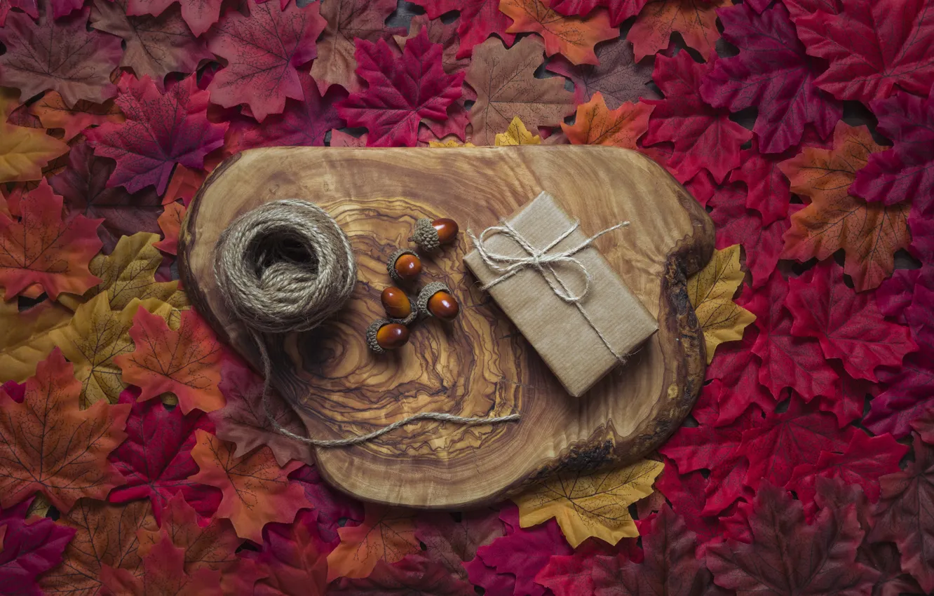 Фото обои осень, листья, фон, дерево, colorful, клен, wood, желуди