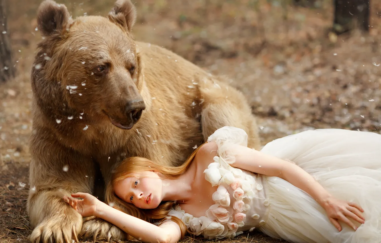 Фото обои поза, платье, медведь, девочка, топтыгин, Светлана Никотина