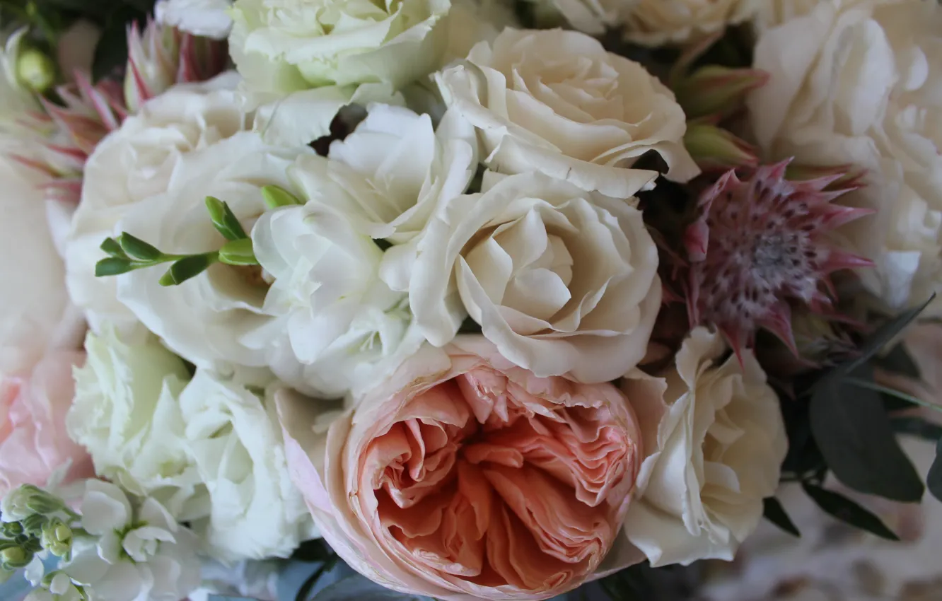 Фото обои макро, цветы, роза, rose, пион, фрезия, кустовая роза, лизиантус