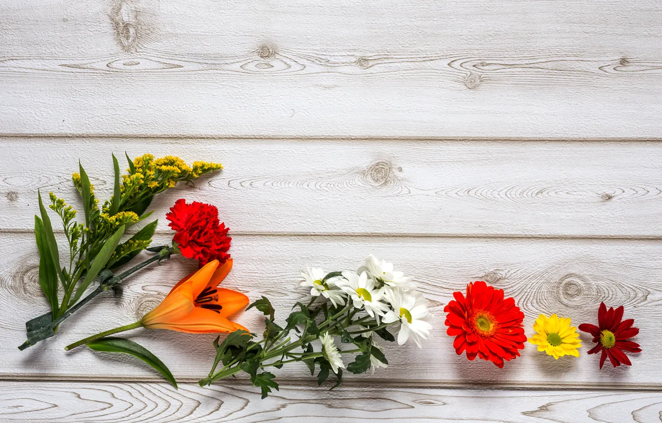 Фото обои цветы, colorful, wood, flowers, composition, floral