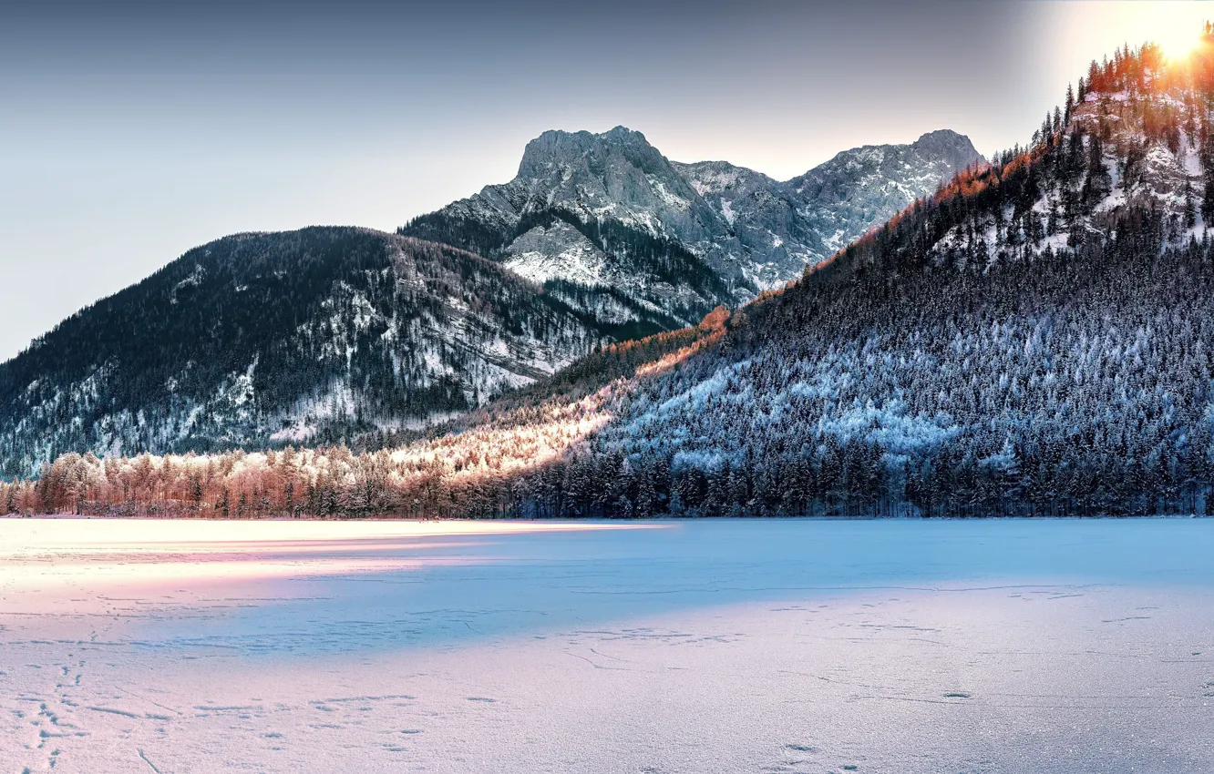 Фото обои зима, солнце, снег, горы, Австрия, ели, Альпы