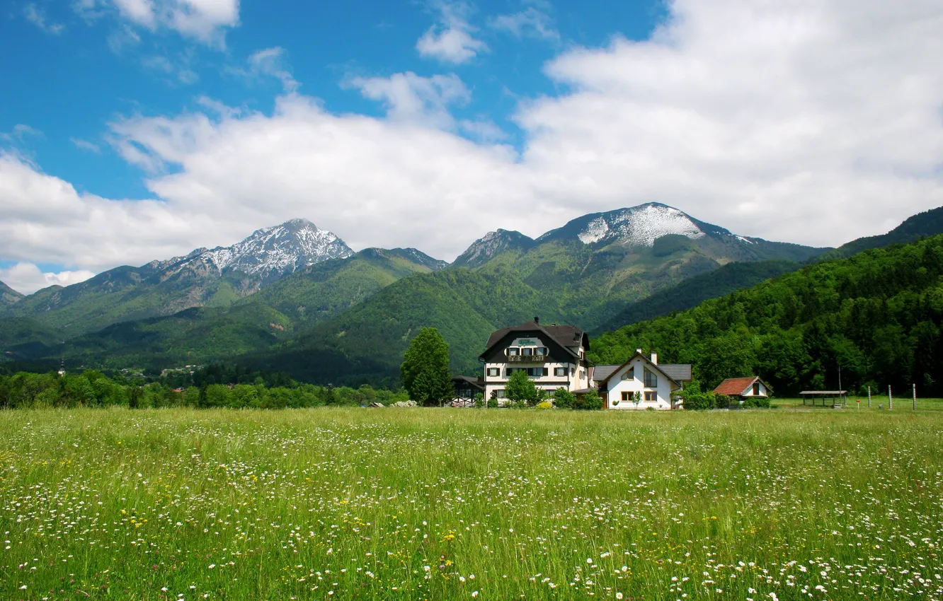 Фото обои house, mountain, Slovenia, weed
