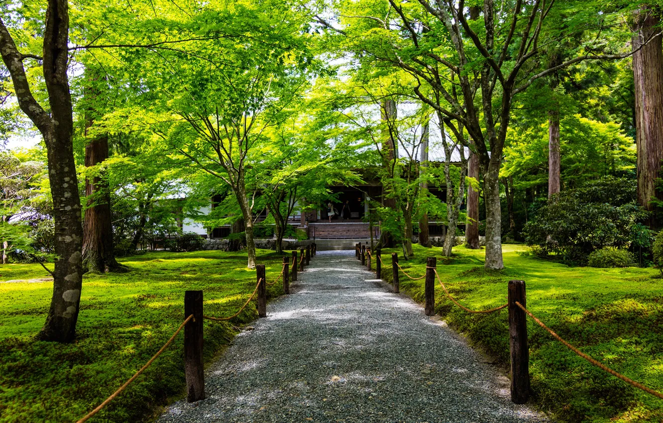 Фото обои зелень, трава, деревья, парк, Япония, ограждение, дорожка, Киото