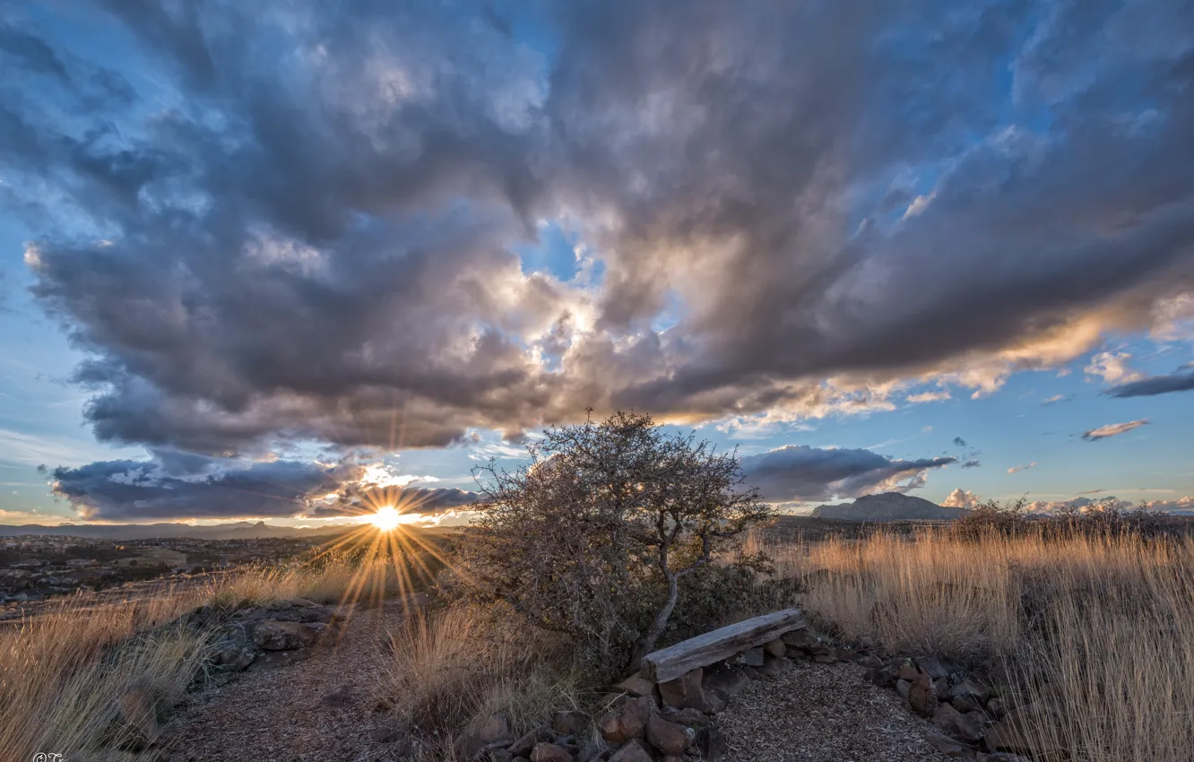 Фото обои солнце, деревья, закат, холмы, США, Arizona, Prescott, вечео