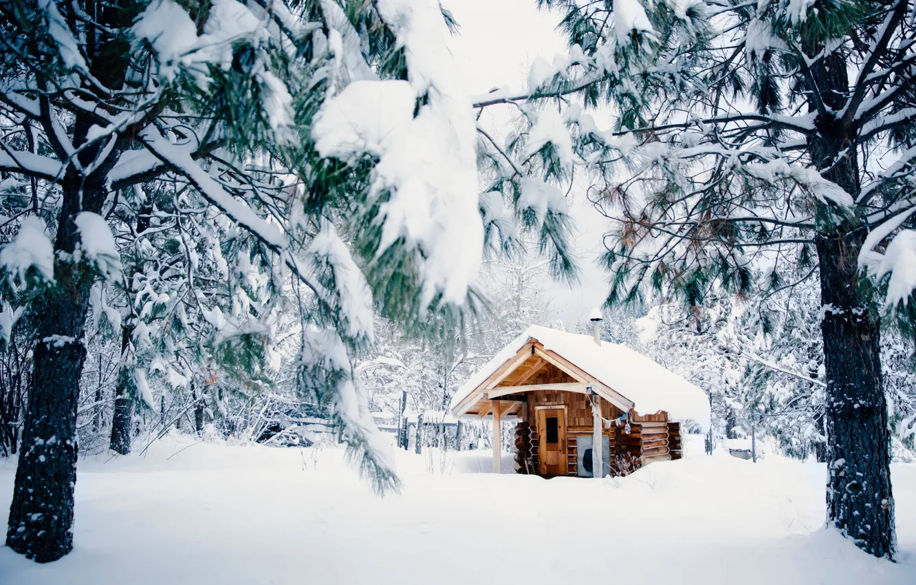 Фото обои Природа, Зима, Снег, Домик, House, Nature, Winter, Snow