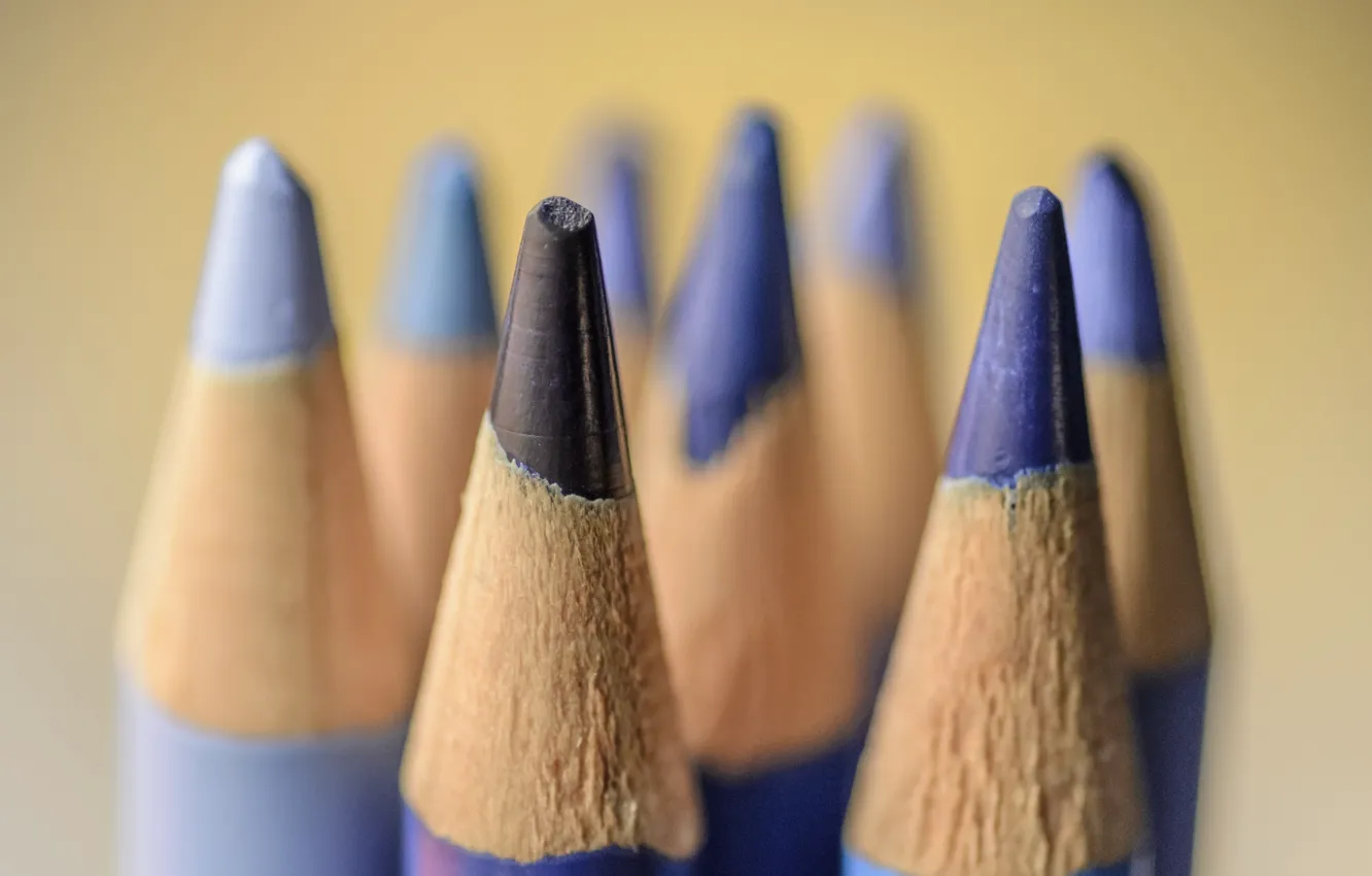 Фото обои макро, фон, карандаши