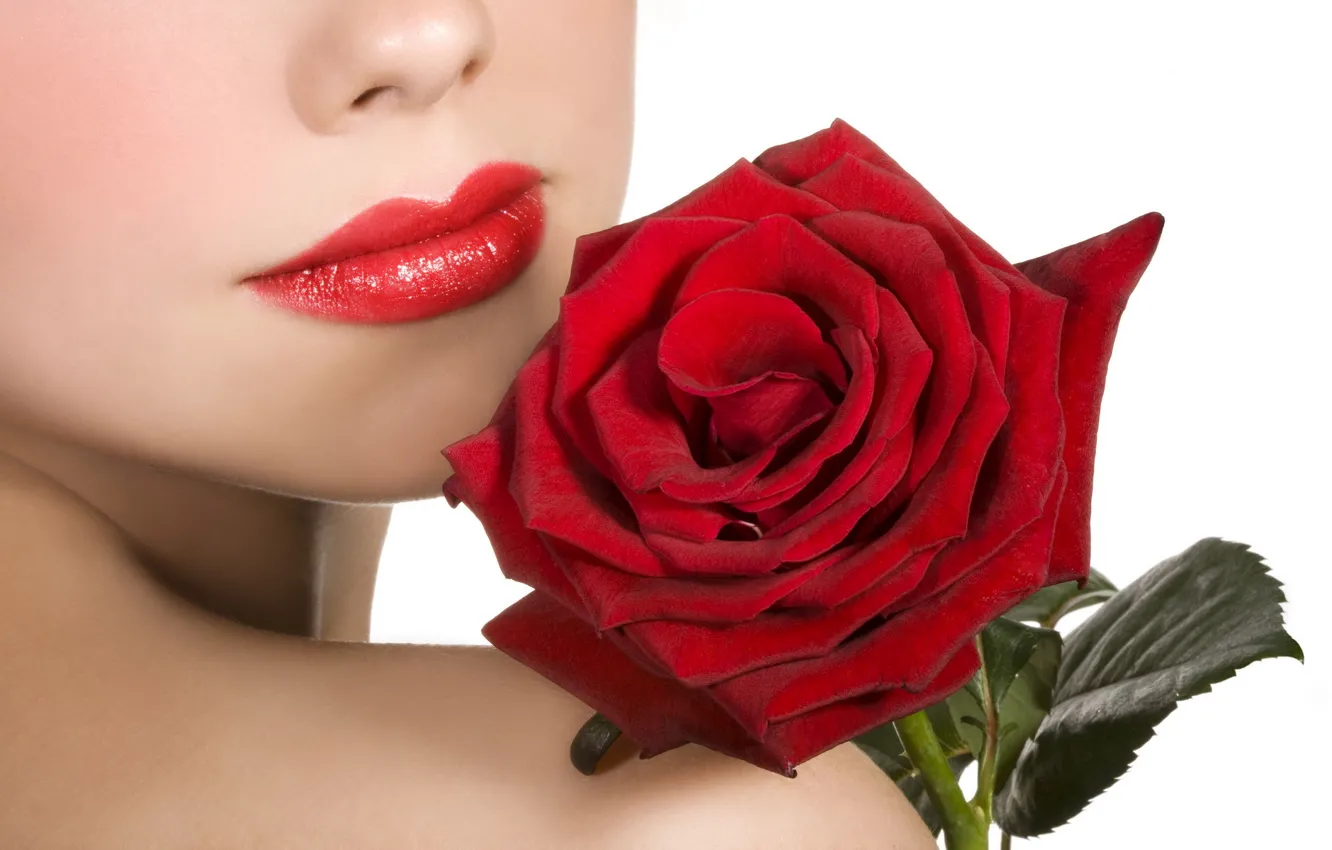 Фото обои цветок, девушка, цветы, розы, губы, красная