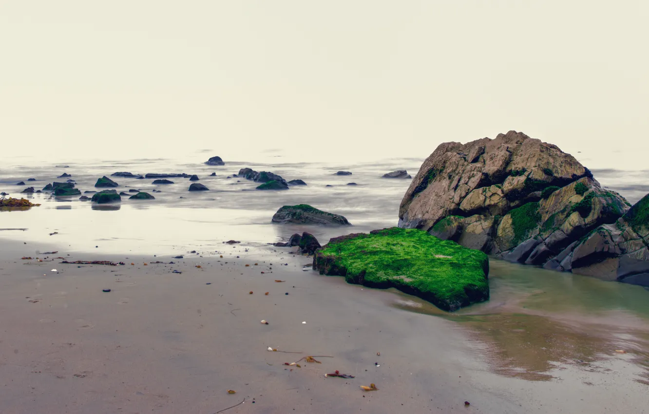 Фото обои песок, море, пляж, камни, мох