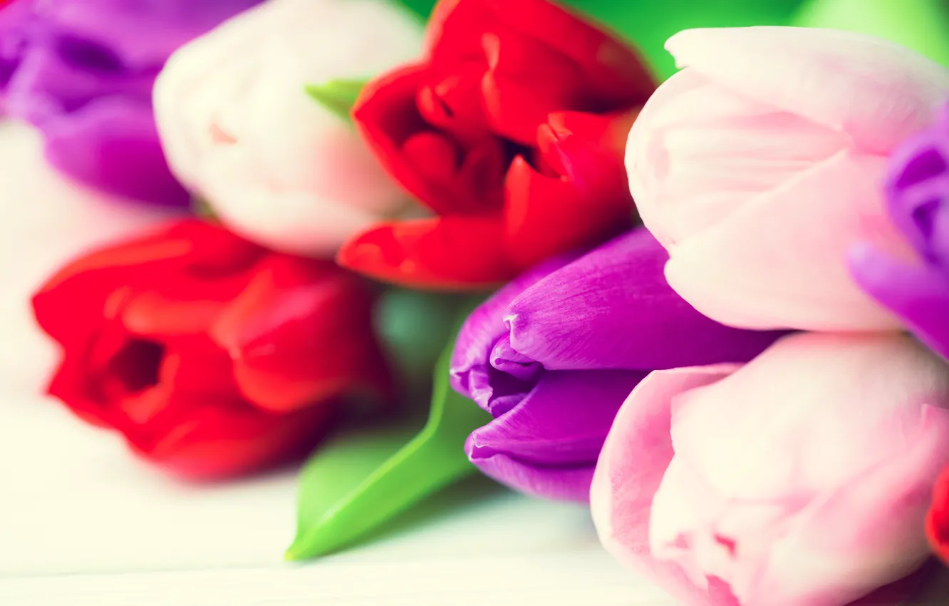 Фото обои цветы, букет, colorful, тюльпаны, red, white, wood, flowers