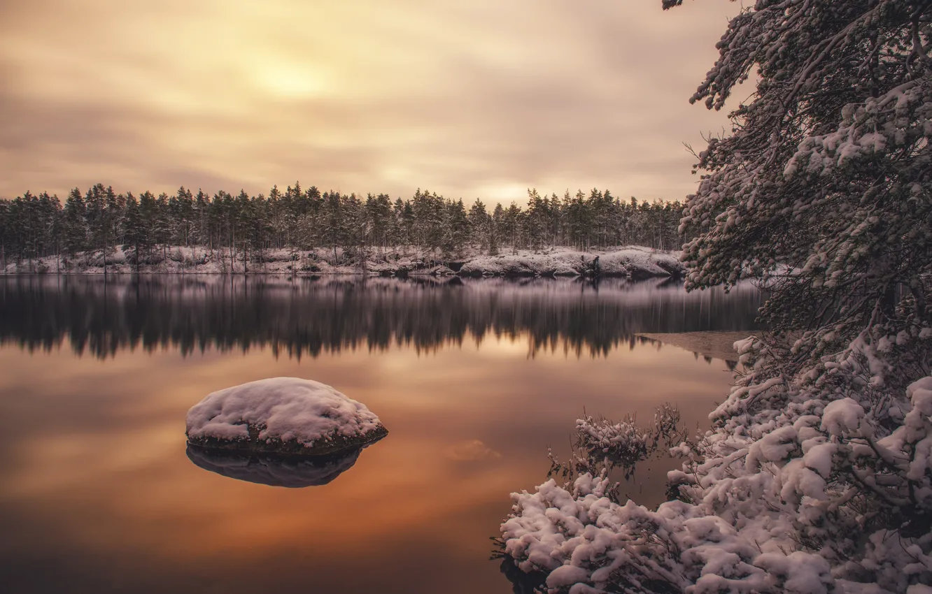 Фото обои зима, лес, вода, снег, деревья, отражение, Финляндия