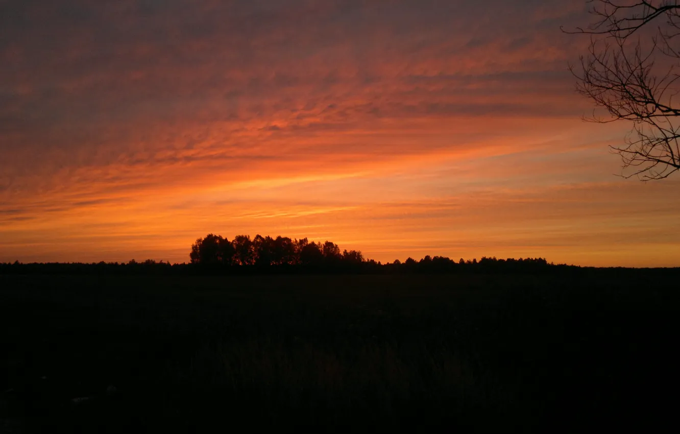 Фото обои закат, летний вечер, вечернее небо, поле и закат