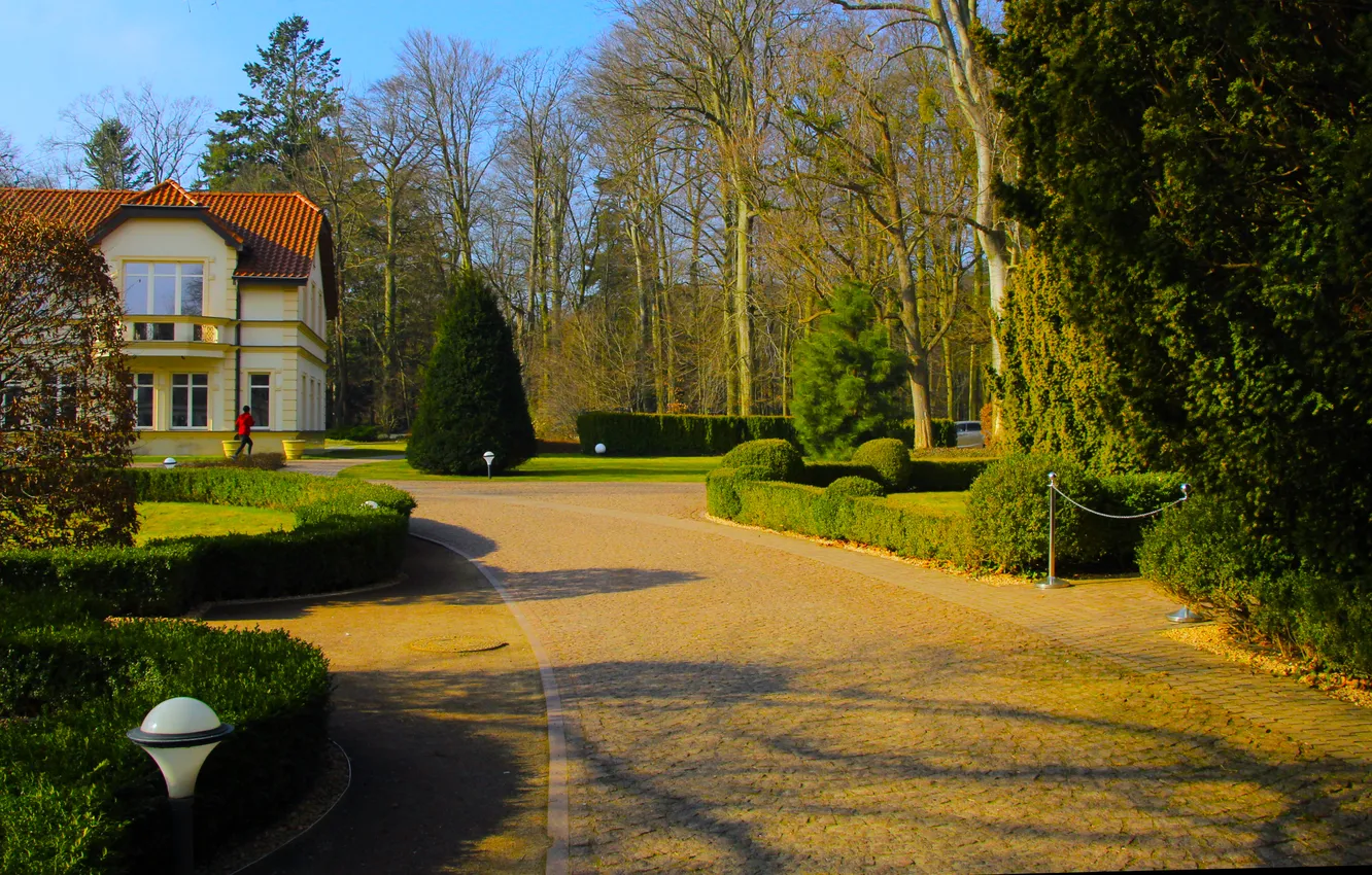 Фото обои house, park, alley