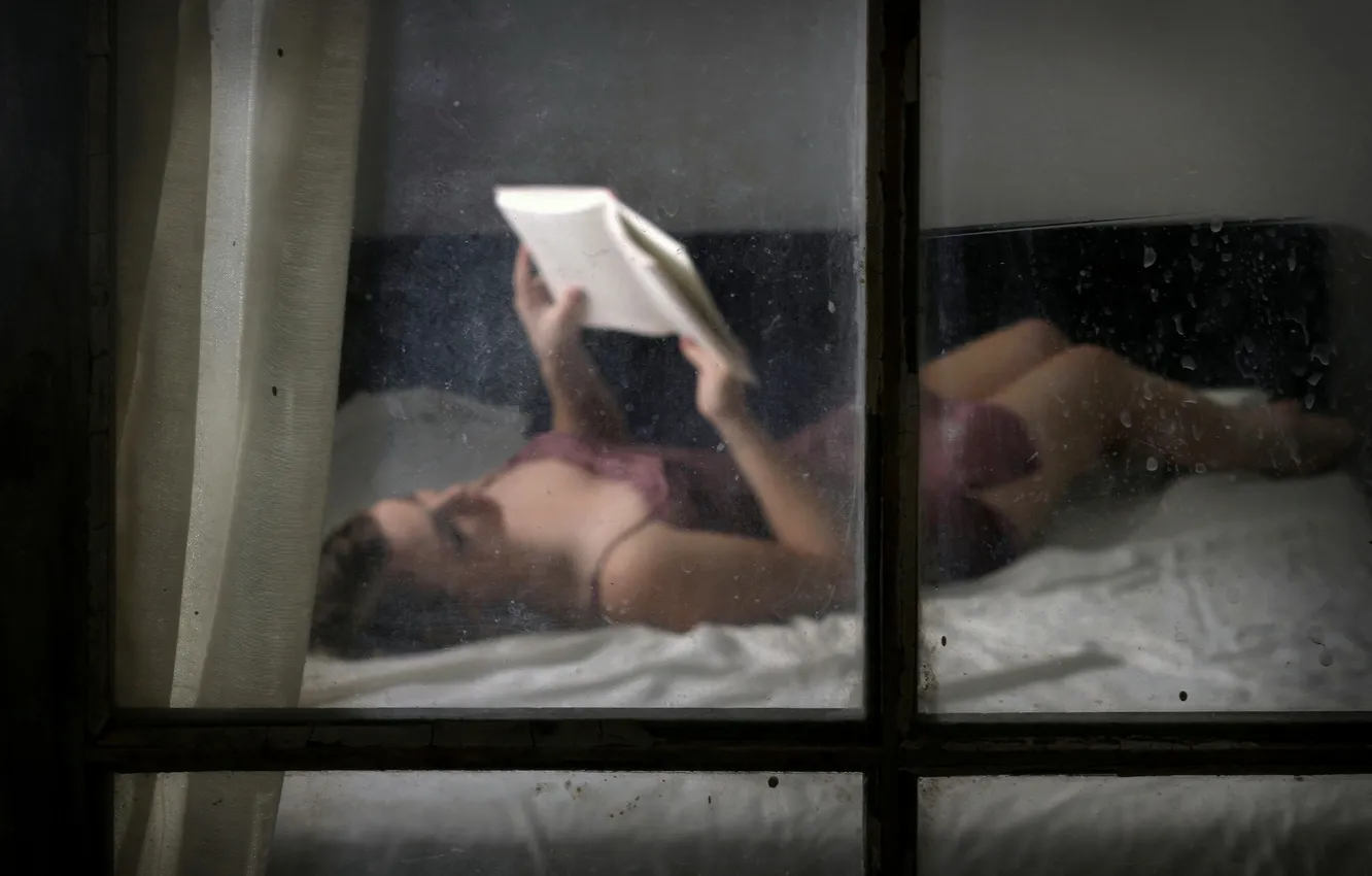 Фото обои девушка, окно, книга