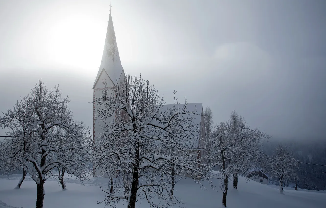 Фото обои зима, деревья, туман, храм