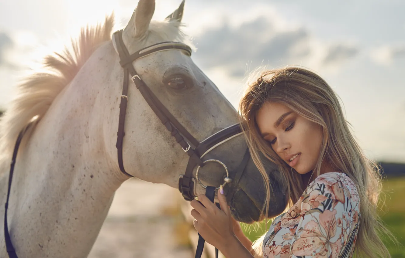 Фото обои девушка, солнце, волосы, лошадь, блондинка, Bulinko Piotr