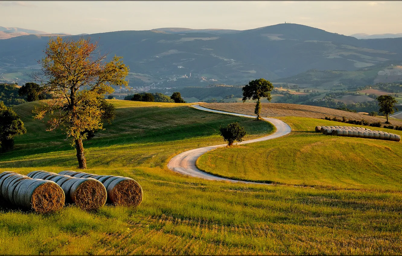 Фото обои дорога, поле, деревья, холмы, Italia