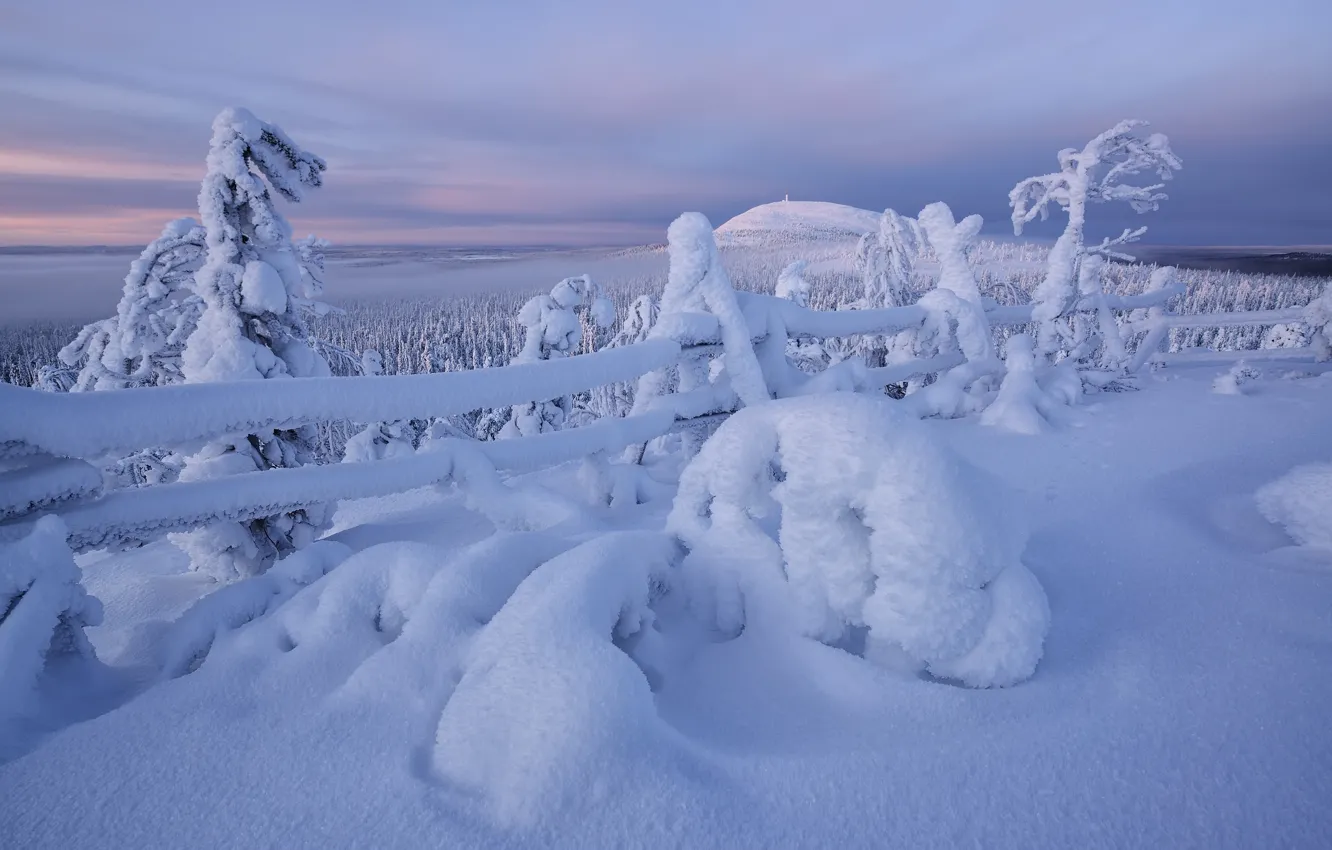 Фото обои зима, снег, деревья, забор, сугробы, Финляндия, Finland, Kuusamo