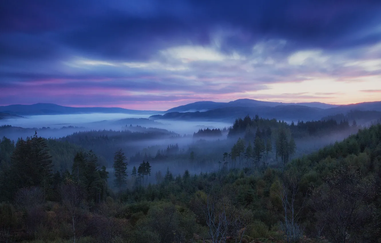 Фото обои forest, fog, hills, sunrise, mist, scotland, trossachs