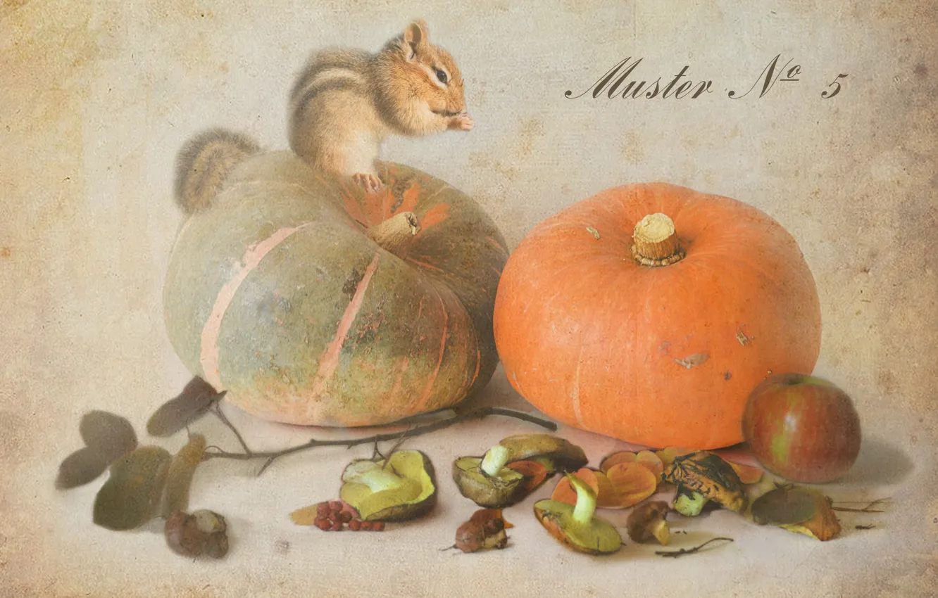 Фото обои осень, грибы, яблоко, тыква, бурундук, маслята, ботанический альбом
