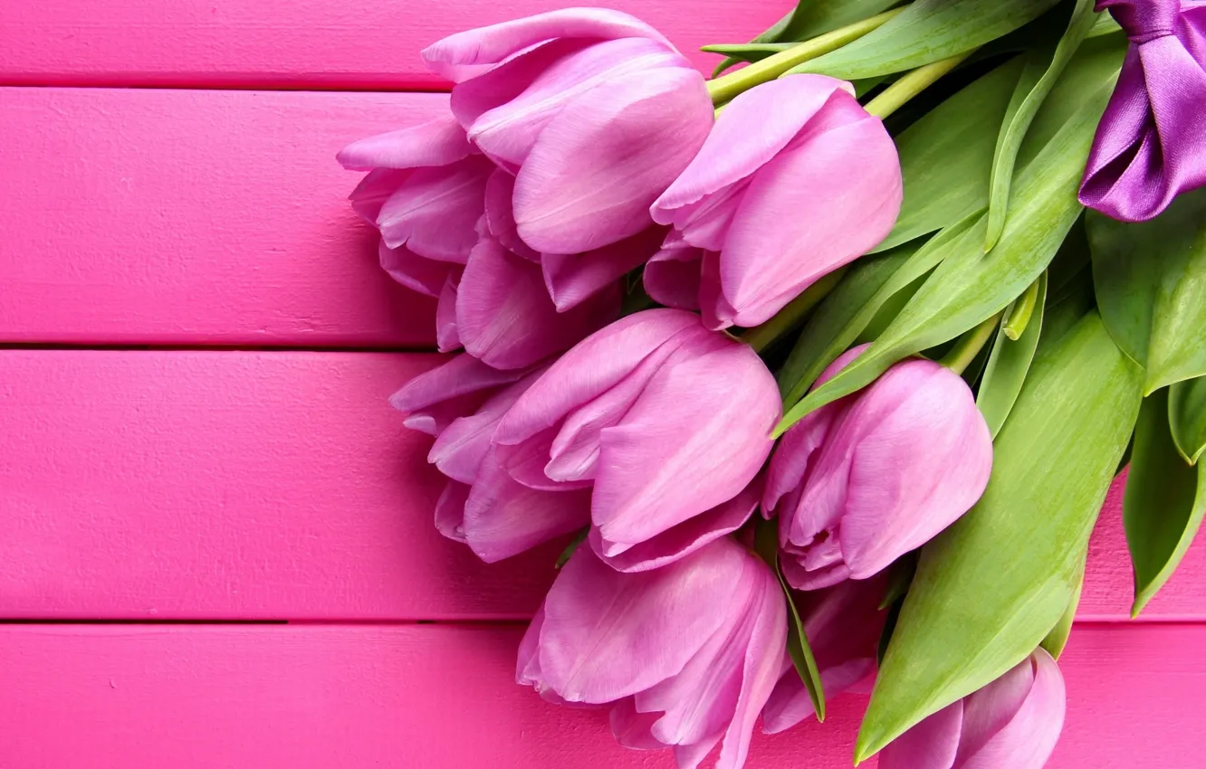 Фото обои цветы, розовый, лепестки, Тюльпаны, розовые