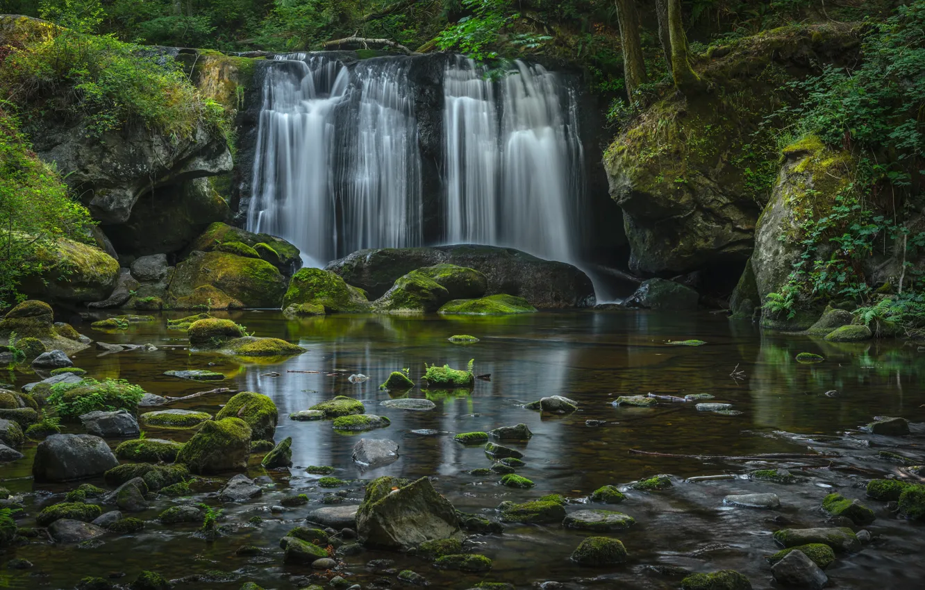 Фото обои лес, отражение, камни, водопад