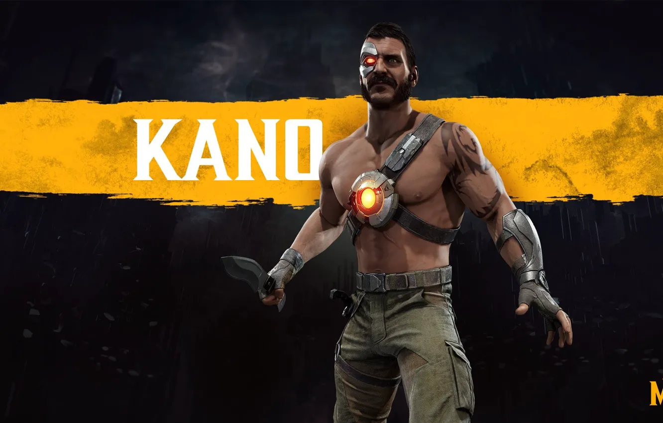 Фото обои Игра, Боец, Арт, Смертельная Битва, Mortal Kombat, Персонаж, MK11, Kano